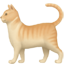 party cat2