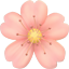 party cherry blossom