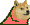 party conga doge