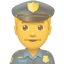 party cop