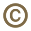 party copyright