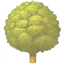 party deciduous tree