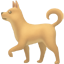 party dog2