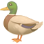party duck