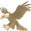 party eagle