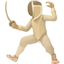 party fencer