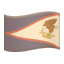 party flag as