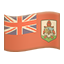 party flag bm
