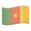 party flag cm