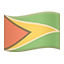 party flag gy