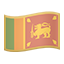 party flag lk