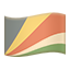 party flag sc