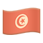 party flag tn