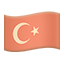 party flag tr