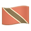 party flag tt