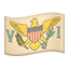 party flag vi