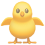 party hatched chick