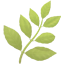 party herb