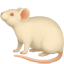 party mouse2
