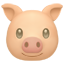 party pig