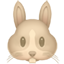 party rabbit