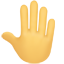 party raised back of hand