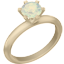 party ring