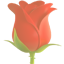 party rose