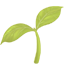party seedling