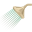 party shower