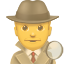 party sleuth or spy