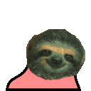 party sloth