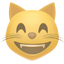 party smile cat