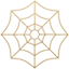 party spider web
