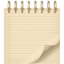 party spiral note pad