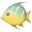 party tropical fish