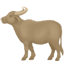 party water buffalo