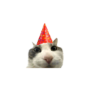 partycatq