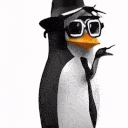 penguinn