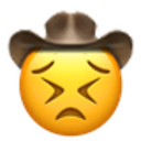 persevere_cowboy