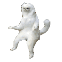 persian_cat_room_guardian_wat