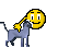 pet_cat