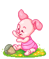 piglet-acornbonkq