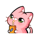 pinkcat2q