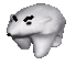 polarbear_angry