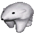 polarbear
