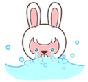 rabbit-cry