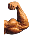 right bicep