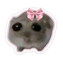 sad-hamster
