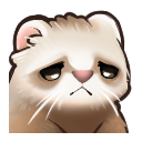 sadotterq